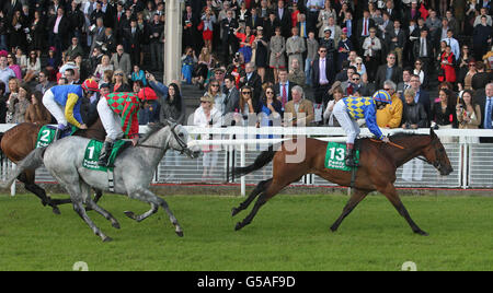 Horse Racing - Dubai Duty Free 2012 Derby irlandais Festival - Jour deux - Curragh Hippodrome Banque D'Images