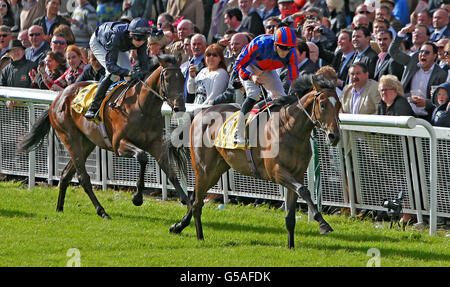 Horse Racing - Dubai Duty Free 2012 Derby irlandais Festival - Jour deux - Curragh Hippodrome Banque D'Images