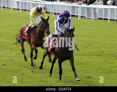 Camelot, monté par Joseph O'Brien, remporte le Dubai Duty Free Irish Derby lors du Dubai Duty Free Irish Derby Festival 2012 au Curragh Racecourse, Co. Kildare, Irlande. Banque D'Images