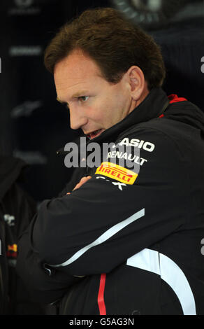 Courses automobiles - Championnat du monde de Formule 1 2012 - Grand Prix de Grande-Bretagne - Journée de pratique - Silverstone.Red Bull Racing Team principe Christian Horner pendant la pratique du Grand Prix britannique à Silverstone, Northamptonshire. Banque D'Images