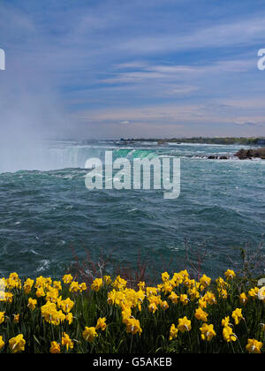 Au fil de l'eau en cascade Niagara Falls Canada horse shoe avec fleurs de printemps Banque D'Images