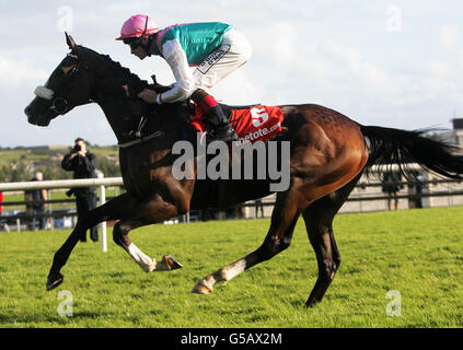 Tandem monté par Pat Smullen remporte le Tote Return All profits to Irish Racing Maiden en thetote.com Galway plate Day of the Galway Summer Festival à Galway Racecourse, Ballybrit. Banque D'Images