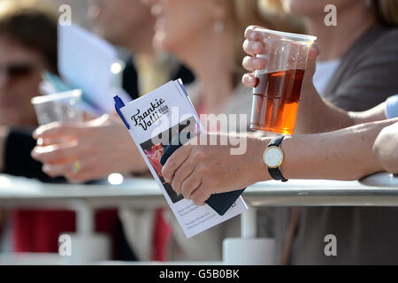 Courses hippiques - Epsom Live! Avec Frankie Valli et le four Seasons - Epsom Racecourse. Les Racegoers s'imprégnent de l'atmosphère de l'hippodrome d'Epsom Banque D'Images