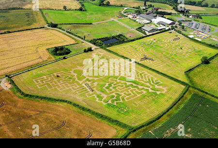 Le labyrinthe créé par le fermier des Midlands Tom Robinson en hommage au sprinter jamaïcain Ubain Bolt, dans son champ de 15 hectares de maïs à la National Forest Adventure Farm près de Burton on Trent, Staffordshire. Banque D'Images