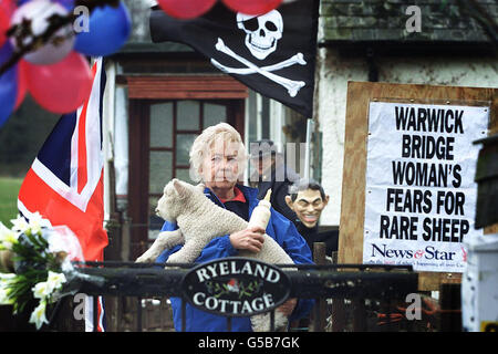 Moira Linaker, du pont de Warwick, près de Carlisle, tient un de ses brebis rares de Ryeland à la porte de sa ferme, à côté d'un panneau d'affichage de journaux, d'un crâne et d'une traverse et d'une caricature du chef du Premier ministre britannique Tony Blair.* elle vit dans la région de Cumbria où plusieurs centaines de milliers de moutons non infectés sont abattus et enterrés dans une tentative d'arrêter la propagation de la fièvre aphteuse.Certains agriculteurs affirment que la vaccination contre la maladie est plus efficace que la politique actuelle d'abattage des animaux non touchés. Banque D'Images