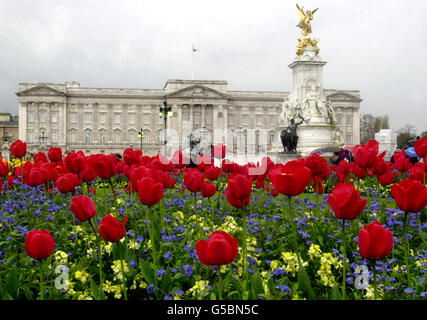 Fleurs printanières devant le palais de Buckingham à Londres. Banque D'Images