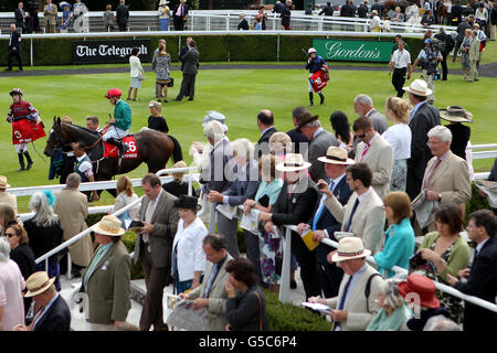 Les courses de chevaux - 2012 - Festival de Goodwood glorieuse journée mille Betfred - Goodwood Racecourse Banque D'Images