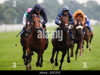 Les courses de chevaux - Victoria Festival 2012 - Coolmore Nunthorpe - Hippodrome de York Banque D'Images