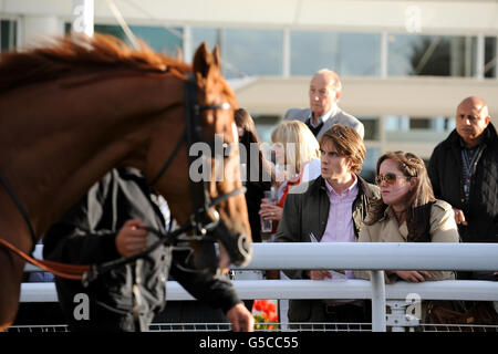 Les amateurs de course regardent tandis que les chevaux sont marchés autour de l'anneau de parade à l'hippodrome d'Epsom Downs Banque D'Images