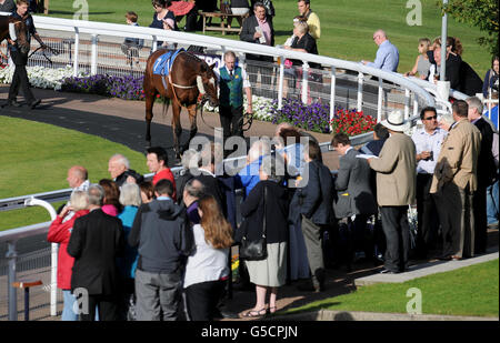 Epsom Horse Racing - Live ! Last Night of the Proms, le Royal Philharmonic Concert Orchestra - Epsom Downs Banque D'Images