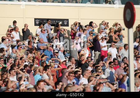 Les courses de chevaux de course et de la musique - Nuit - Lingfield Park Racecourse Banque D'Images