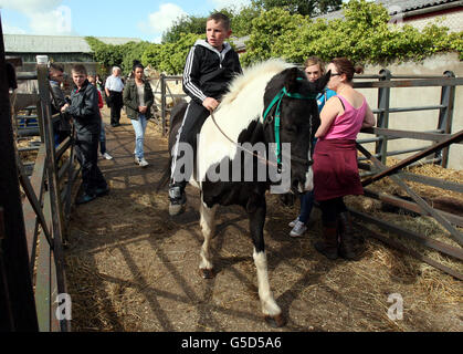 Les commerçants de chevaux à la foire d'Auld Lammas à Ballycastle, Co Antrim, le deuxième jour de la foire. La foire a lieu à Ballycastle le dernier lundi et mardi d'août. C'est l'une des plus anciennes foires d'Irlande et a lieu sans interruption pendant plus de trois siècles. Banque D'Images