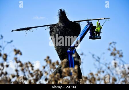 L'artiste Serena de la Hey commence à nourrir le saule sur les bras de la sculpture géante Willow Man de 12 m (40 pi), à côté de l'autoroute M5 dans Somerset, qui obtient un lifting Acirc;&Pound;18,000 et fait réparer sa tête et ses bras au cours des cinq prochains jours. Banque D'Images