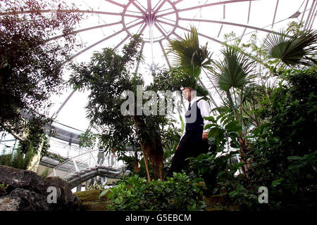 Jardin d'hiver victorien Banque D'Images