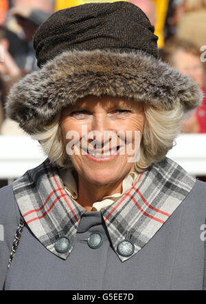 La duchesse de Cornwall arrive pour assister à des courses hippiques pendant la William Hill en soutenant la journée de course de Dumfries House (Ladies Day) à l'hippodrome d'Ayr dans le Ayrshire après avoir rebaptisé le stand Paddock « The Rothesay Stand ». Le prince de Galles est connu sous le nom de duc de Rothesay en Écosse. Banque D'Images