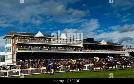 Les courses de chevaux - William Hill Ayr Gold Cup - Ladies' Day Banque D'Images