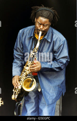 Bourrage dans le parc Pine Banque D'Images