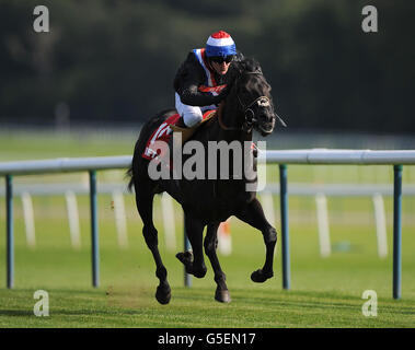 Les courses de chevaux - Betfred Sprint Cup Festival - Jour deux - Haydock Park Racecourse Banque D'Images