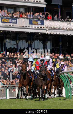 Les courses de chevaux - William Hill Ayr Gold Cup - Ladies' Day Banque D'Images