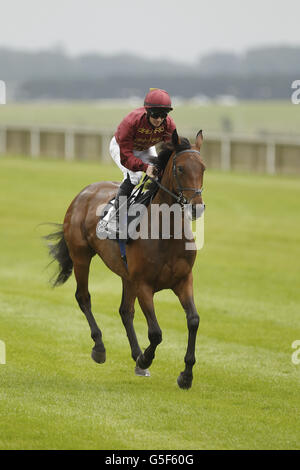 Course de chevaux - Moyantireflet Stud Stakes Day - The Curragh.Note harmonique sous le jockey Gary Carroll qui a couru pendant la Journée des piquets de Moyantireflet au Curragh Racecourse, Co Kildare, Irlande. Banque D'Images