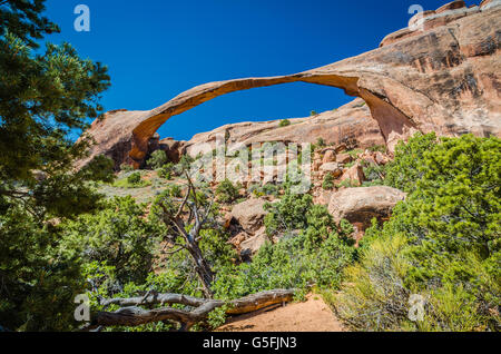 Parc National Arches dans l'Utah merveilleux Banque D'Images