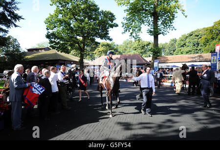 Les courses de chevaux - Betfred Sprint Cup Festival - Jour deux - Haydock Park Racecourse Banque D'Images