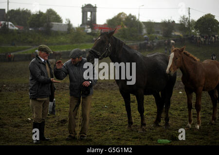 Les commerçants de chevaux dans le champ d'exposition à la foire équestre Ballinasloe à Co. Galway, Irlande. Banque D'Images