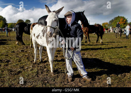 Fono McDonagh avec son âne à vendre dans le champ de foire de Ballinasloe Horse Fair à Co. Galway, Irlande. Banque D'Images