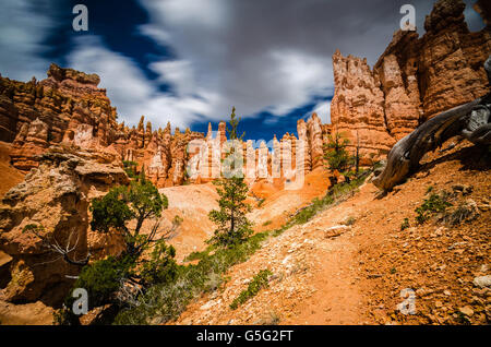 Une aventure dans le Parc National de Bryce Canyon Banque D'Images