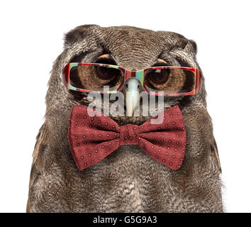 Close-up of a-de verreaux - owl bubo lacteus (3 ans) portant des lunettes et une cravate d'arc devant un fond blanc Banque D'Images