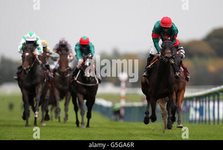 Les courses de chevaux - Haydock Park Racecourse Banque D'Images