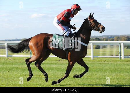 Courses hippiques - courses de Towcester.Jockey Barry Geraghty va poster des remerciements pour être venu avant les Linden Homes Greens Norton Beginnerss' Chase Banque D'Images