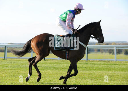 Courses hippiques - courses de Towcester.Jockey Jeremiah McGrath sur la nuisance va à la poste pour le Thoroughbred Breeders Association Mares 'National Hunt' novices' obstacle Banque D'Images