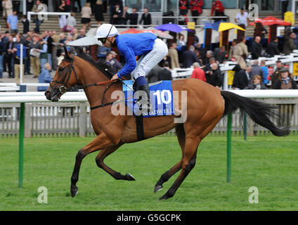 Les courses de chevaux - La Réunion - Journée Shadwell - Newmarket Racecourse Banque D'Images