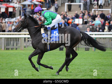 Les courses de chevaux - La Réunion - Journée Shadwell - Newmarket Racecourse Banque D'Images