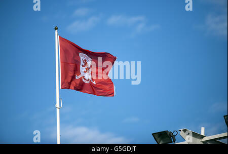 Soccer - npower Football League Championship - Middlesbrough v Leicester - Stade Riverside Banque D'Images