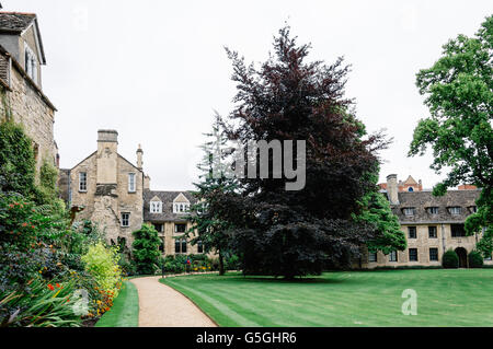 Oxford, Royaume-Uni - 14 août 2015 : Cour de Worcester College à Oxford. Worcester College est un des éléments constitutifs college Banque D'Images