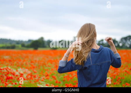 Femme blonde en champ de coquelicots. Banque D'Images