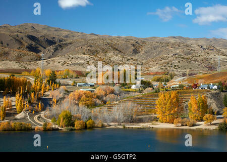 Couleurs d'automne, d'entrée de Bannockburn, Lake Dunstan, Central Otago, île du Sud, Nouvelle-Zélande Banque D'Images