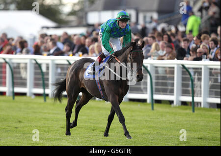 Les courses de chevaux - William Hill Ayr Ayr Gold Cup - Coupe d'Or Banque D'Images