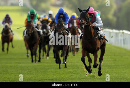 Horse Racing - Courses de Leicester Banque D'Images