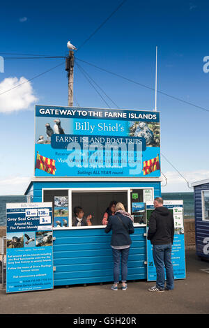 Royaume-uni, Angleterre, Northumberland, port de Seahouses clients à Billy Shiel's Iles Farne, cabine de bateau Banque D'Images