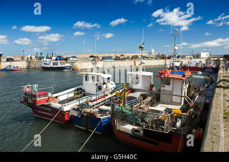 Royaume-uni, Angleterre, de Northumberland, de la pêche et du port de Seahouses journée de voyage de plaisance de quayside Banque D'Images