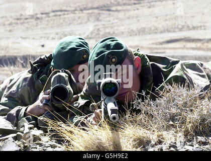 Royal Marine Snipers Banque D'Images