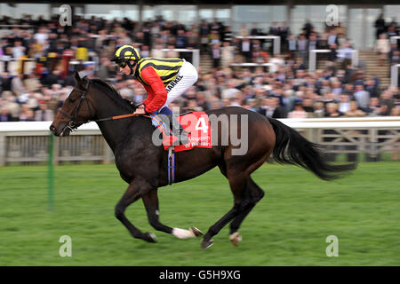 Les courses de chevaux - Le Festival de Cambridgeshire - Jour 3 - Jour de Cambridgeshire - Newmarket Racecourse Banque D'Images