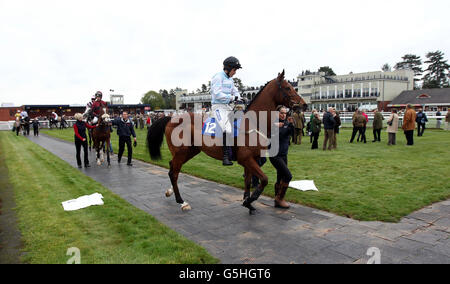 Le danseur du spa est monté par Felix de Giles dans l'anneau du défilé avant l'anniversaire heureux Matt Taylor novices se hopent à l'hippodrome de Ludlow. Banque D'Images