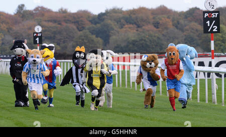 Les courses de chevaux - Hippodrome de Doncaster Banque D'Images