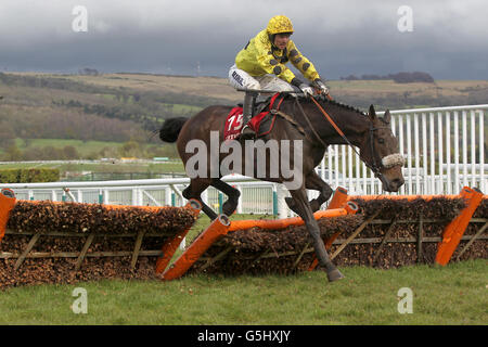 Les courses de chevaux - La réunion d'avril - Jour 1 - l'Hippodrome de Cheltenham Banque D'Images