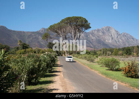 Motoring le long de la route des vins de Stellenbosch dans le Western Cape Afrique du Sud Banque D'Images