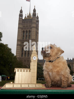 Star, un Norfolk Terrier de 4 ans appartenant au député Charlie Elphicke de Douvres and Deal, est annoncé comme vainqueur du concours Westminster Dog of the Year au Victoria Tower Gardens à Londres, organisé par le Dogs Trust et le Kennel Club. Banque D'Images